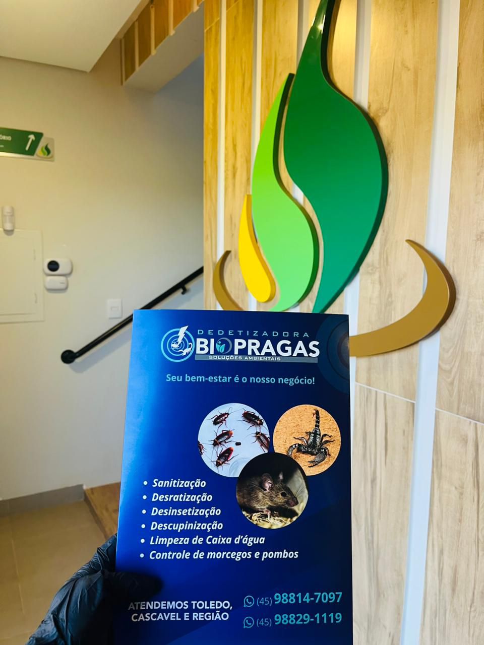 Bio Pragas Serviço 6
